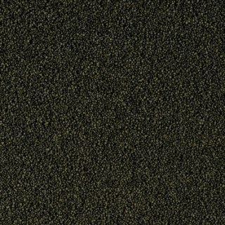 Tropical Super Spirulina Forte Mini Granulat 100ml