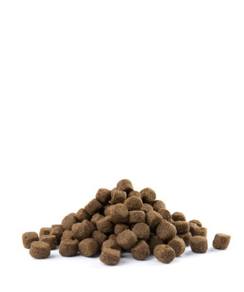 Versele-Laga Opti Life Adult Digestion Medium&Maxi Jagnięcina Z Ryżem 12,5kg