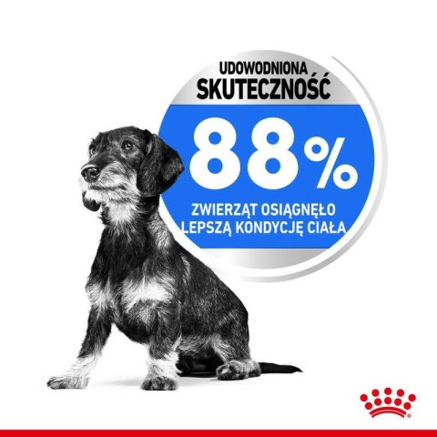 ROYAL CANIN CCN Mini Light Weight Care 3kg