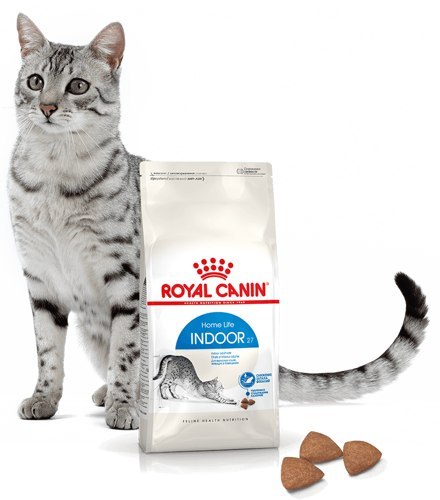 ROYAL CANIN Indoor 27 4kg