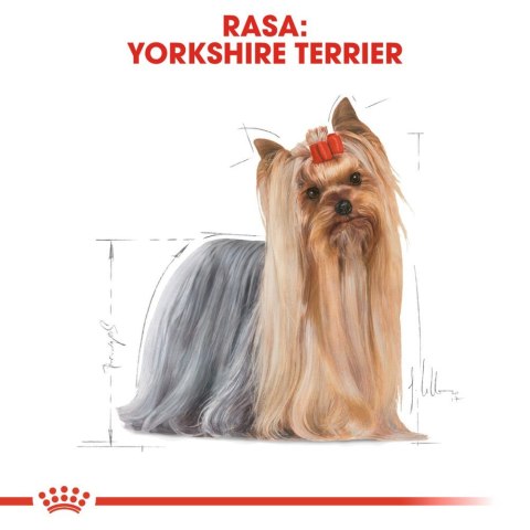ROYAL CANIN Yorkshire Terrier Adult 500g