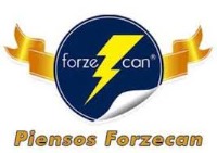 Forzecan