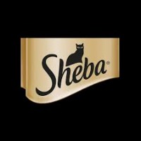 Sheba